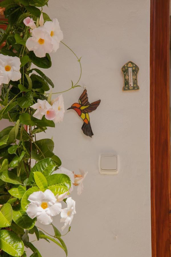 Casa Carmen Villa Haria Exterior photo